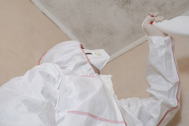 Best Mold Odor Removal Services  in Brisbane, CA